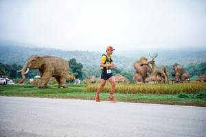 BIB: 
                            <button type="button" onclick="openModal(22401608)" class="btn btn-primary btn-sm float-right btn-popup" data-toggle="modal" data-target=".modal-high-quality">
                        <i class="fas fa-shopping-cart"></i> Add to Cart
                    </button>
                                            <button type="button" onclick="isThisMe(22401608, true)" class="btn btn-success btn-sm float-right btn-popup btn-isme hidden" data-toggle="tooltip" data-placement="bottom" title="นี่คือรูปของคุณใช่ไหม คลิกที่นี่เพื่อเอาเข้าอัลบั้ม">
                        <i class="fas fa-plus"></i> Add to album
                    </button>
                    <button type="button" onclick="isThisMe(22401608, false)" class="btn btn-warning btn-sm float-right btn-popup btn-isnotme hidden">
                        <i class="fas fa-ban"></i> Remove from album
                    </button>